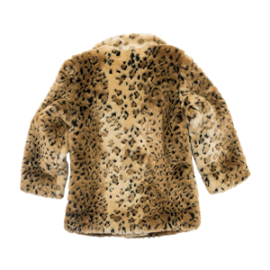 Fur coat PNG-40243